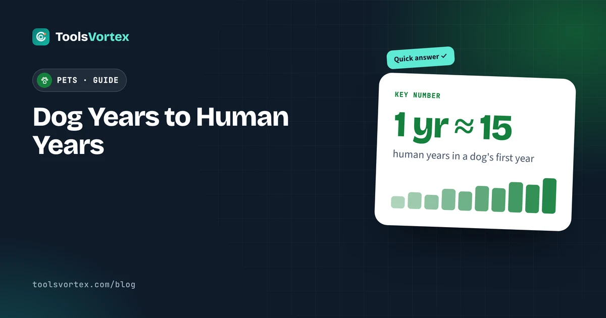 Dog Years to Human Years: The Real Formula (It’s Not ×7)